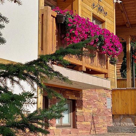 Villa Natural Wood Zlatibor Exterior foto