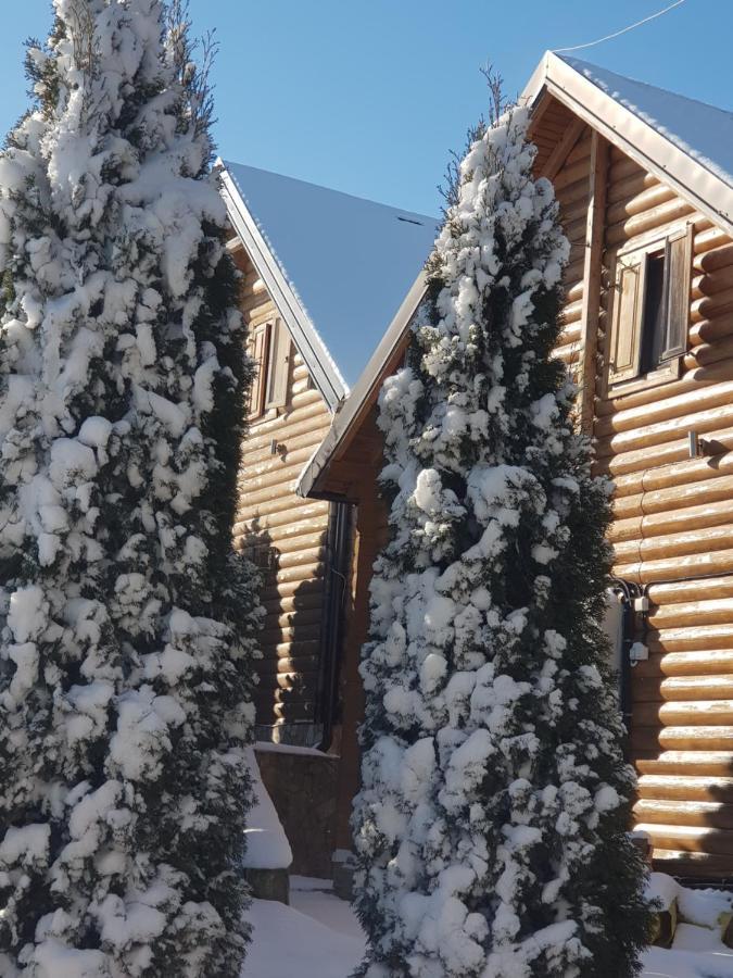 Villa Natural Wood Zlatibor Exterior foto